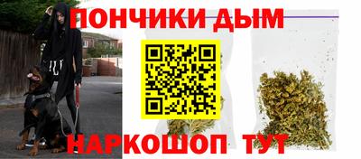 ГАЛЛЮЦИНОГЕННЫЕ ГРИБЫ Сланцы