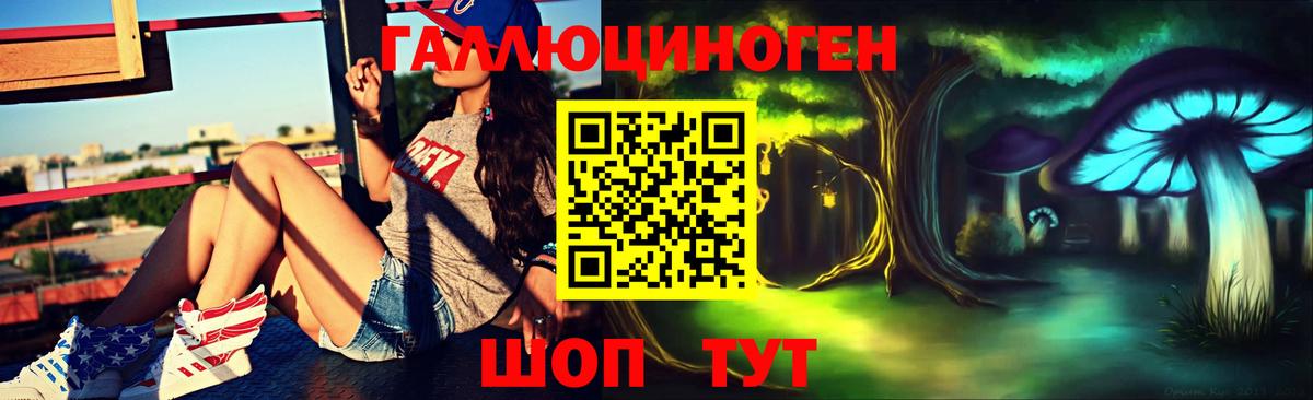 Псилоцибиновые грибы Psilocybe Первоуральск